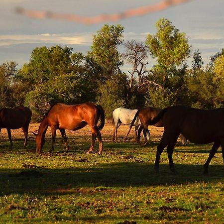 Beaconsfield Farm Villa Hofmeyr Dış mekan fotoğraf
