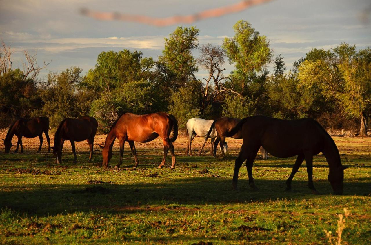 Beaconsfield Farm Villa Hofmeyr Dış mekan fotoğraf