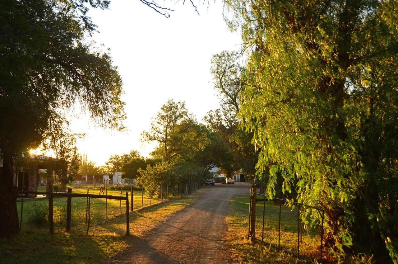 Beaconsfield Farm Villa Hofmeyr Dış mekan fotoğraf