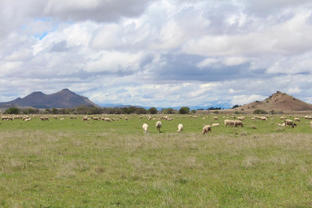 Beaconsfield Farm Villa Hofmeyr Dış mekan fotoğraf